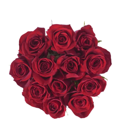 Bloom Haus Dozen Red Roses – Fresh Rose Bunch