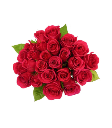 2 Dozen Premium Roses – Rainforest Alliance Certified, Assorted Colors